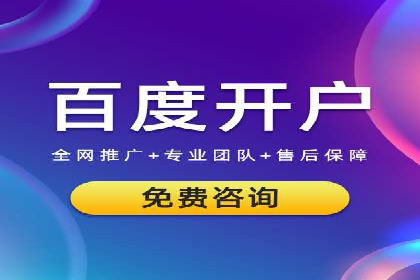 成功SEM托管代运营案例分析